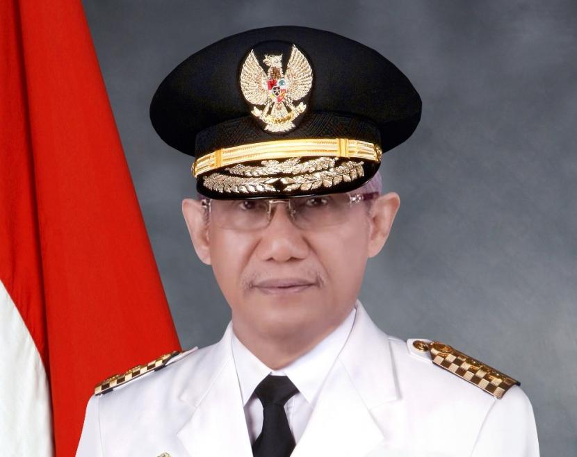 Wakil Gubernur Sulawesi Tenggara (Wagub Sultra) Lukman Abunawas.