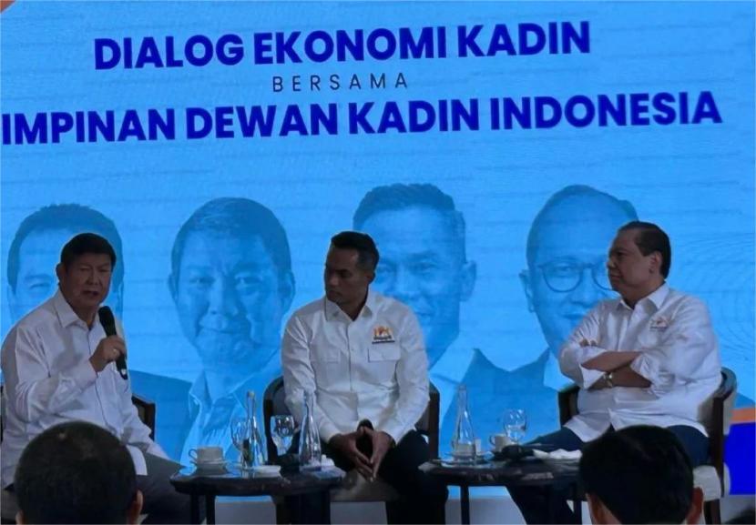 Wakil Ketua Dewan Pembina Gerindra Hashim Sujono Djojohadikusumo.