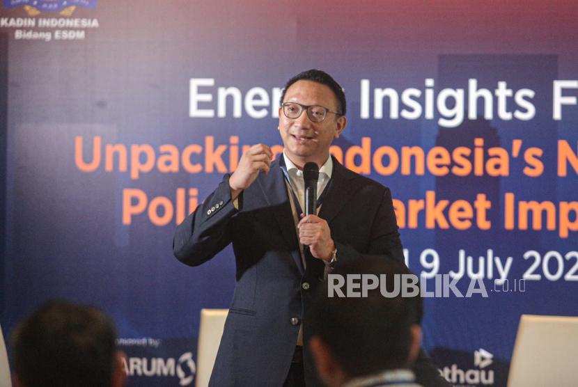 Wakil Ketua Umum Kadin Bidang Energi dan Sumber Daya Mineral (ESDM) Aryo Djojohadikusumo.
