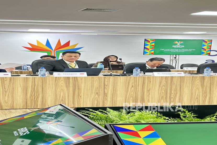 Wakil Menteri Lingkungan Hidup Diaz Hendropriyono saat menghadiri forum BRICS High Level Meeting on Climate Change and Sustainable Development yang digelar di Brasil, Kamis (29/5/2025).