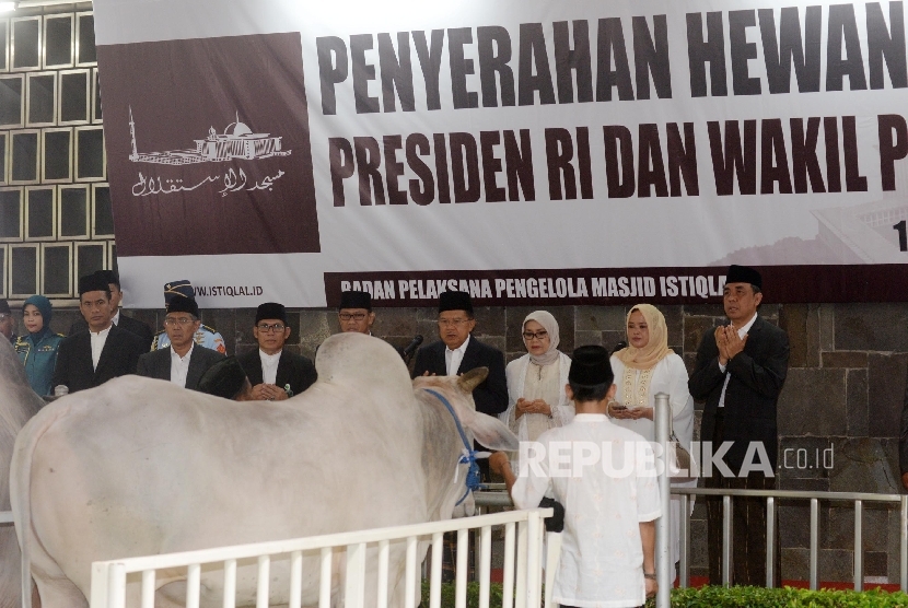   Wakil Presiden Jusuf Kalla (keempat kanan) menyerahkan dua ekor sapi kepada pengurus Masjid Istiqlal seusai sholat Idul Adha, Jakarta, Jumat (1/9). 