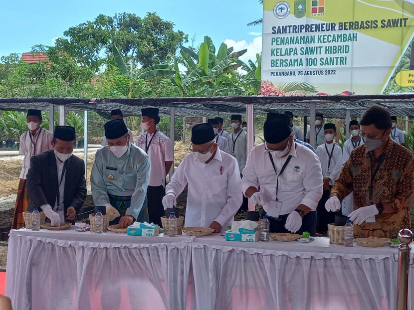Wakil Presiden Maruf Amin saat melakukan penanaman kecambah kelapa sawit di Pondok Pesantren Teknologi Riau, Kampar, Kamis (25/8). 