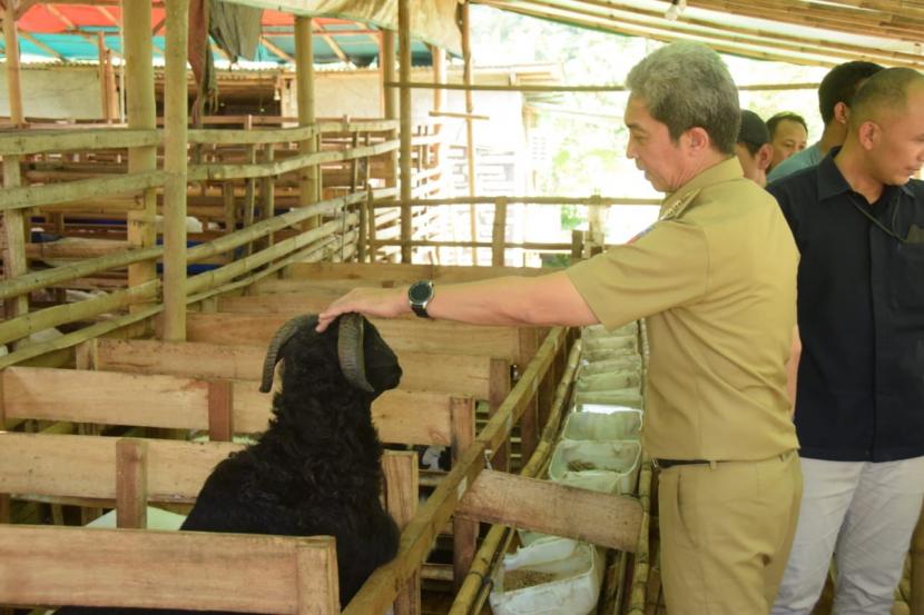 Wakil Wali Kota Bogor Dedie A. Rachim, memastikan hewan ternak di RPH Bubulak, Kota Bogor memiliki Surat Keterangan Kesehatan Daging (SKKD) -- ilustrasi