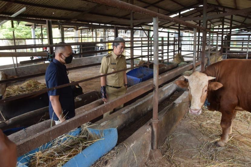 Wakil Wali Kota Bogor Dedie A. Rachim, memastikan hewan ternak di RPH Bubulak, Kota Bogor memiliki Surat Keterangan Kesehatan Daging (SKKD). Pemkot Bogor mulai mendisinfeksi kandang ternak untuk mengantisipasi wabah PMK.