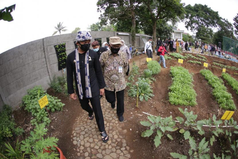 Wali Kota Bogor Bima Arya Sugiarto (kiri) dan Kepala KPw BI Provinsi Jawa Barat Herawanto (kanan) meninjau urban farming di Kota Bogor. Pemkot Bogor lakukan berbagai langkah hadapi perubahan iklim seperti urban farming.