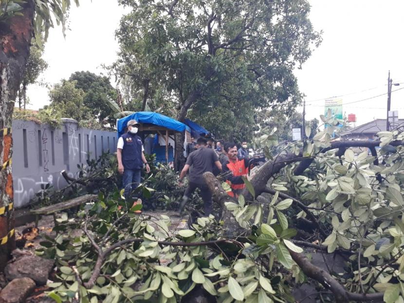 Wali Kota Sukabumi Achmad Fahmi memimpin langsung evakuasi pohon tumbang di Jalan Kenari, Kecamatan Cikole Kota Sukabumi, Rabu (23/9) sore.