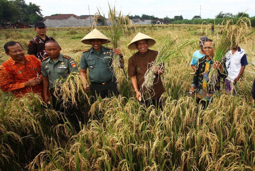 Wali Kota Yogyakarta, Haryadi Suyuti (keempat kiri) menunjukan padi saat acara panen raya padi di Sorosutan, Yogyakarta, Kamis (10/3).