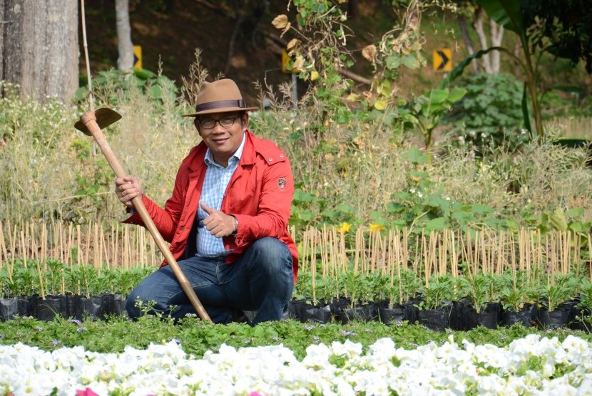 Walikota Bandung Ridwan Kamil saat meninjau Kebun Pembibitan Bunga di Doi Tung, Chiang Rai, Thailand, Kamis (12/2)