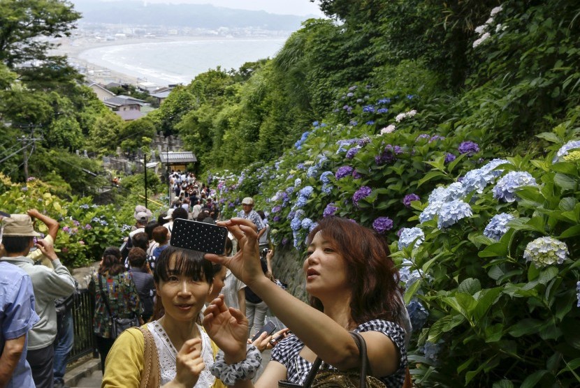 Wanita berswafoto dengan latar bunga hydrangea di Kuil Jojuin dekat Pantai Kamakura, barat daya Tokyo, pada bulan Juni. 