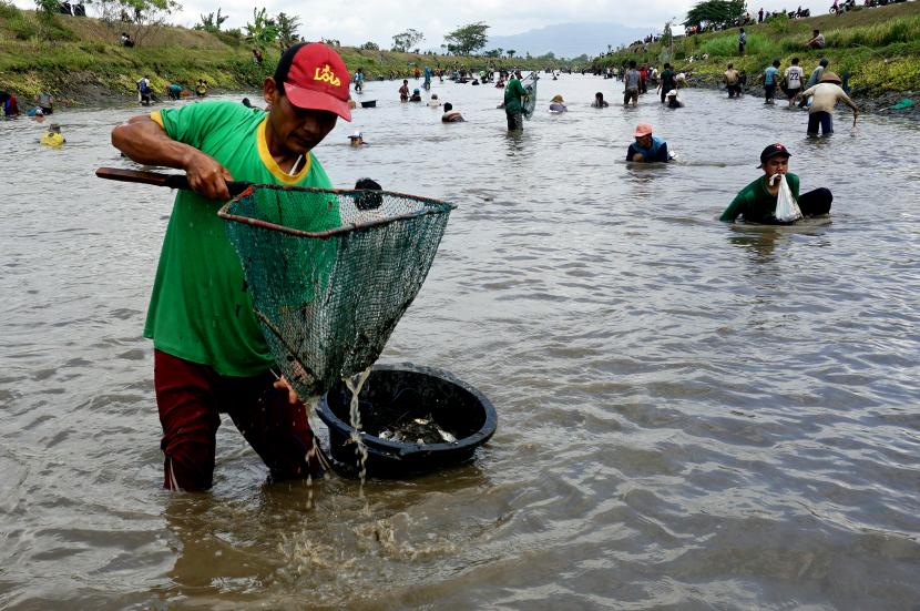 Warga berburu ikan mabuk dengan aneka peralatan tangkap ikan yang dimiliki dalam tradisi pladu atau pengeringan air di Sungai Irigasi Boyolangu, Tulungagung, Jawa Timur, Sabtu (4/9/2021). Mereka memanfaatkan momentum pladu atau penggelontoran air sungai untuk membersihkan lumpur di sekitar pintu cekdam karena biasanya banyak biota ikan yang mengalami 