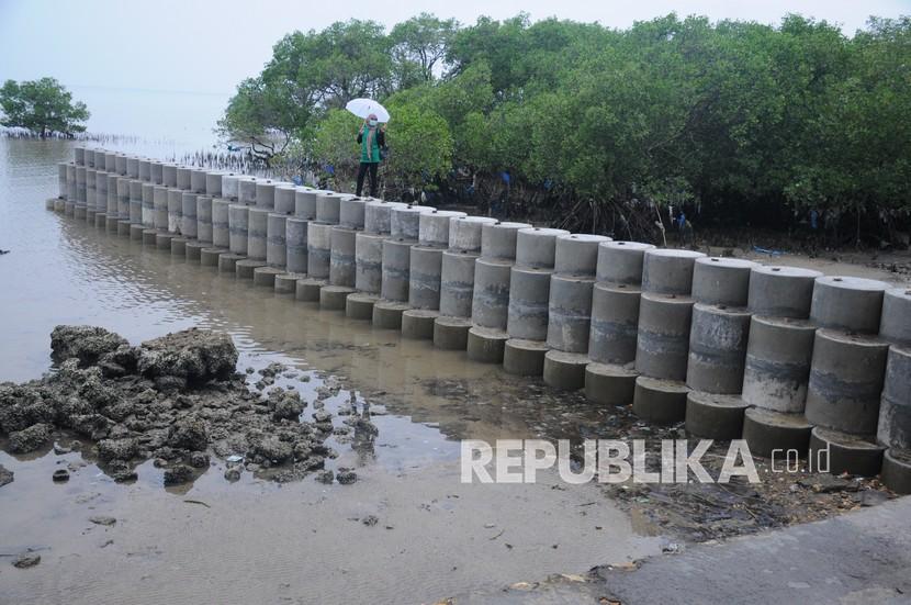 Ekosistem di tepi pantai yang bisa berpotensi menjcegah dampak tsunami (ilustrasi)