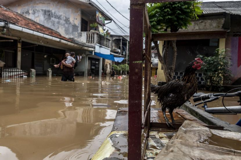 Warga berjalan melintasi banjir di permukiman penduduk kawasan Rawajati, Jakarta, Senin (10/10/2022). BPBD DKI Jakarta pada Senin (10/10) pukul 06.00 WIB mencatat sebanyak 53 RT di DKI Jakarta terendam banjir akibat luapan Sungai Ciliwung.