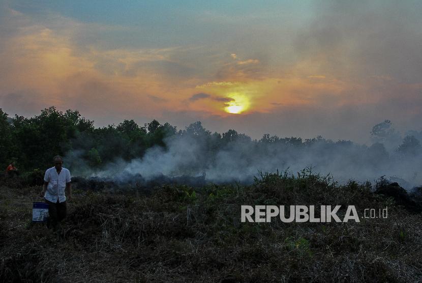 Warga berupaya memadamkan kebakaran lahan dengan alat seadanya saat terjadi kebakaran lahan gambut di Kecamatan Tambang, Kabupaten Kampar, Riau