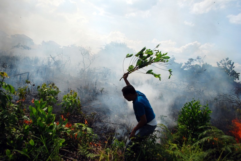 Warga berusaha memadamkan api dengan menggunakan dahan pohon ketika terjadi kebakaran lahan di Pekanbaru, Riau, Selasa (23/8).