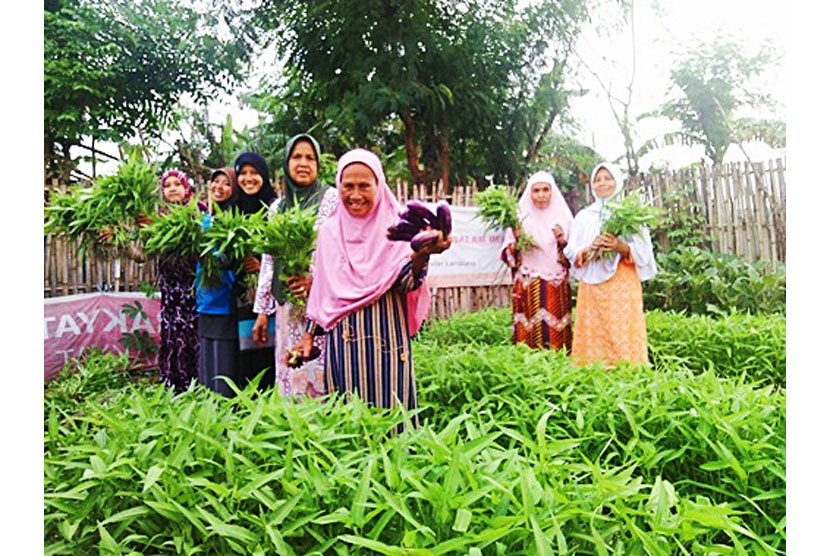 Warga binaan RZ (Rumah Zakat) yang tergabung dalam Komunitas Salam Berseri memanen sayuran di Kebun Gizi yang terletak di Kampung Rawa Baru, Kel. Sukaraja Kec. Bumiwaras,  Bandar Lampung, Rabu (17/2).