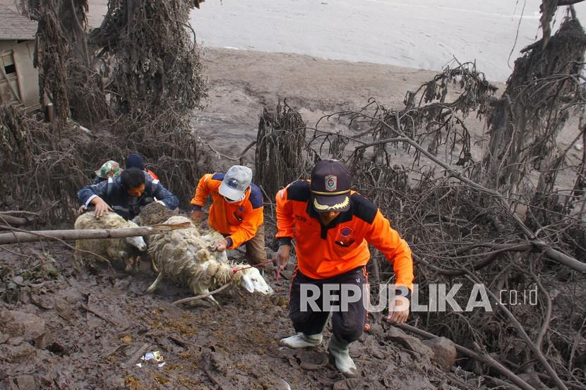 Kementerian ESDM melalui Badan Geologi sudah mengirimkan early warning kepada stakeholder di wilayah Jawa TImur terkait aktivitas Gunung Semeru. Apalagi, Badan Geologi juga sudah menaikan status gunung semeru ke level waspada sejak Mei lalu.