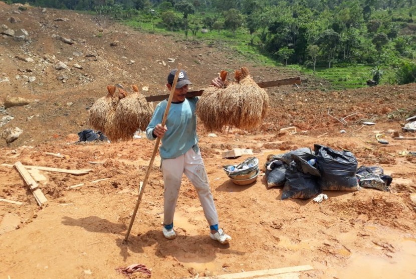Warga Dusun Cimapag Desa Sirnaresmi Kecamatan Cisolok, Kabupaten Sukabumi melakukan evakuasi padi yang tertimbun longsor Selasa (8/1).