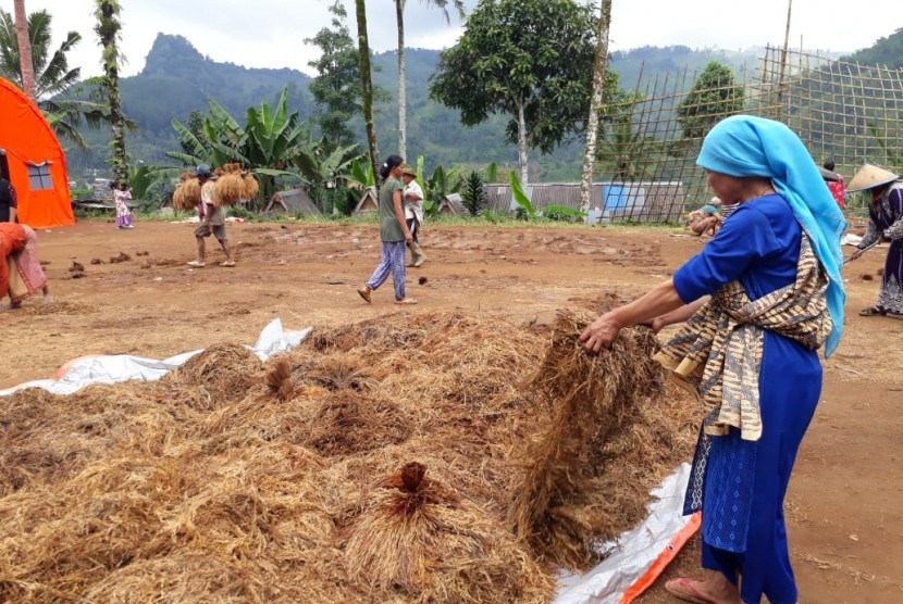 Warga Dusun Cimapag Desa Sirnaresmi Kecamatan Cisolok, Kabupaten Sukabumi melakukan evakuasi padi yang tertimbun longsor Selasa (8/1).
