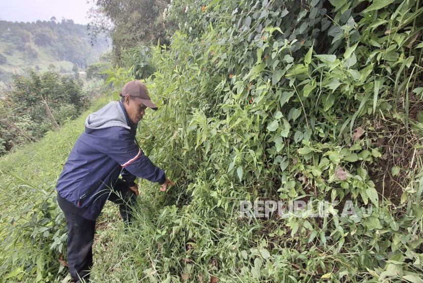 Heboh! Warga Bandung Barat Temukan Anak Perempuan Setengah Bugil di Semak-semak