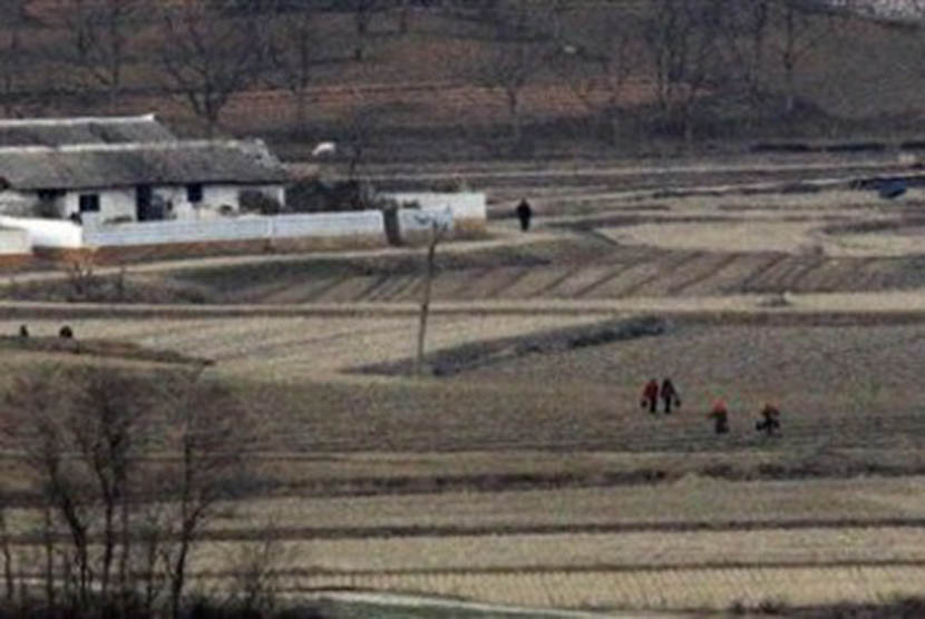 Warga Korea Utara bekerja di ladang mereka di Desa Kaepoong, dekat dengan kawasan zona milliter yang berbatasan dengan Korea Selatan, Selasa (20/12).