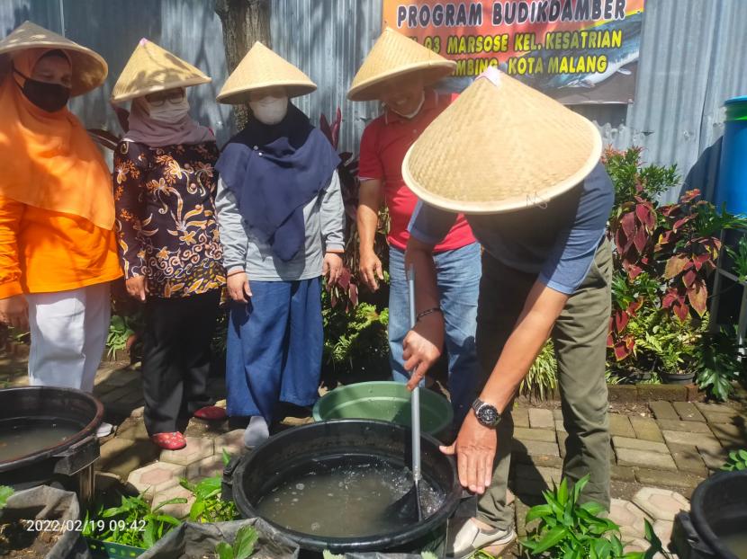 Warga Kota Malang melakukan program pembudidaya ikan dalam ember (budikdamber) dan kolam terpal. Program ini ditunjukkan untuk menurunkan tingkat stunting di Kota Malang. 