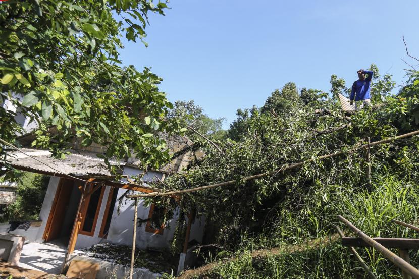 Warga melihat rumah yang tertimpa pohon akibat angin kencang di Depok, Jawa Barat. Dinas LHK Depok mengevakuasi pohon tumbang akibat angi kencang.