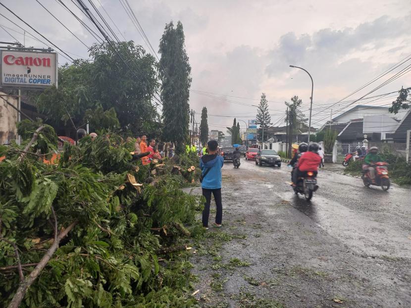 Warga melihat sisa material pohon tumbang. Pohon tumbang menyebabkan pos polisi rusak di Sukabumi, Jumat (3/2/2023). (Ilustrasi)