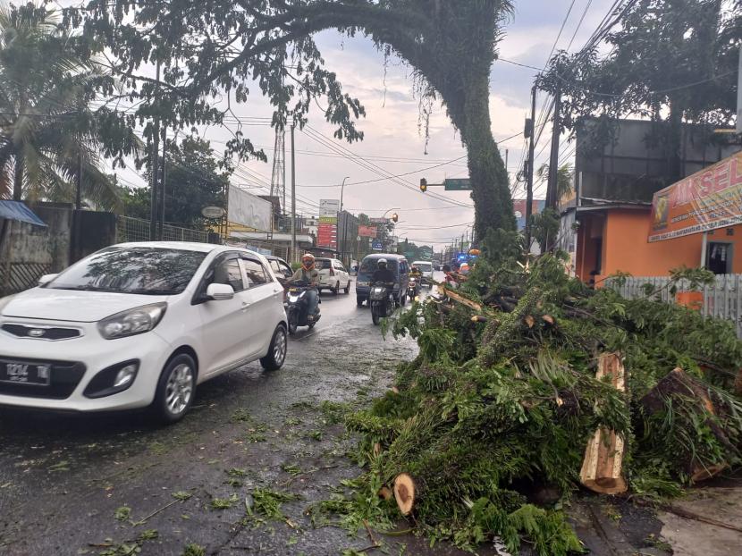 Warga melihat sisa material pohon tumbang di Jalan RE Martadinata, Kecamatan Indihiang, Kota Tasikmalaya, Rabu (14/12/2022). 