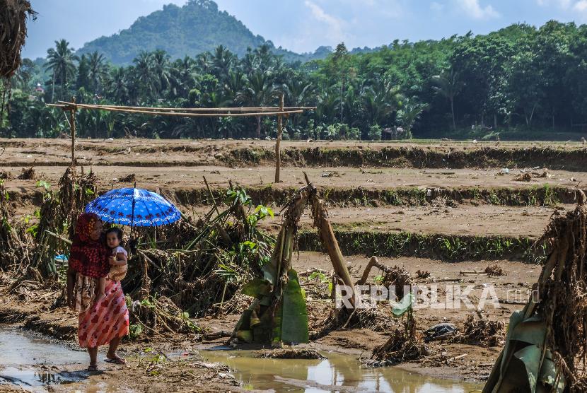 Warga melintas di areal persawahan yang rusak diterjang banjir bandang di Kampung Susukan, Lebak, Banten, Selasa (14/1). Pemerintah Lebak memfokuskan perbaikan irigasi dan kerusakan areal persawahan pascabanjir menerjang daerah itu.