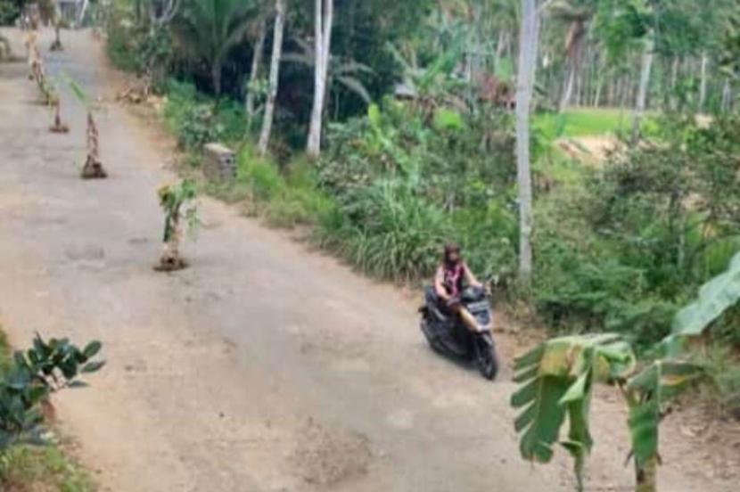 Warga melintas di jalan antardesa yang ditanami pohon pisang karena kondisi rusak parah d Desa Pule, Trenggalek.