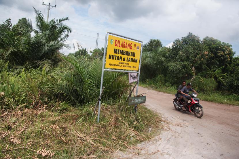 Warga melintas di sebelah papan larangan membakar lahan gambut di kawasan Jalan Nasional Kalimantan Sebangau, Palangka Raya, Kalimantan Tengah, Selasa (9/8/2022). 