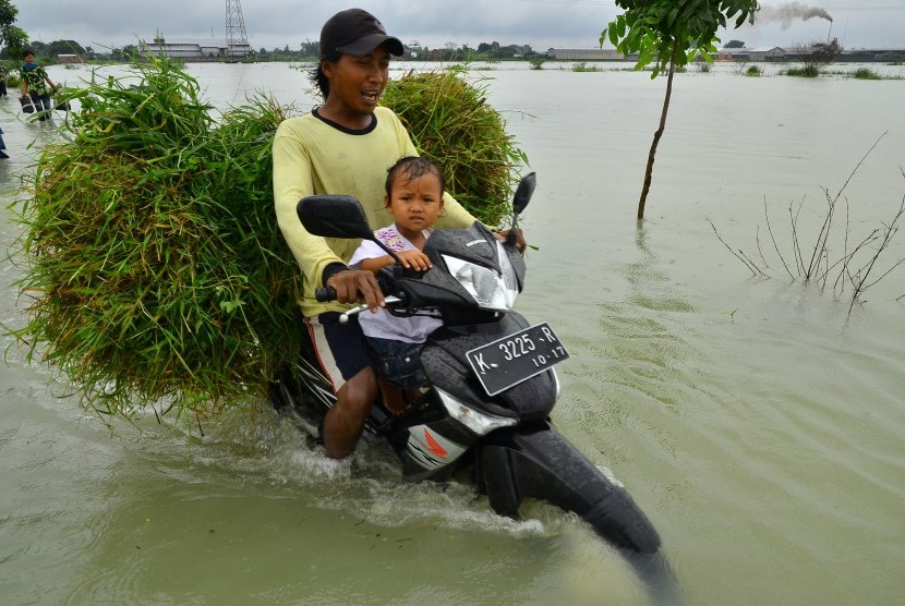Warga melintasi jalan yang tergenang banjir di Kudus, Jawa Tengah / Ilustrasi 