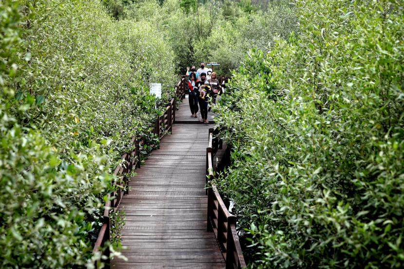 Warga melintasi jembatan ketika berwisata di Ekowisata Mangrove Gunung Anyar, Surabaya, Jawa Timur. 