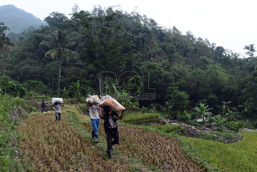  Warga membawa padi dengan karung untuk kemudian dibawa menuju ke tempat penggilingan di Kecamatan Tegalwaru, Desa Jayanti, Karawang, Jawa Barat, Kamis (12/11). (Republika/Raisan Al Farisi)