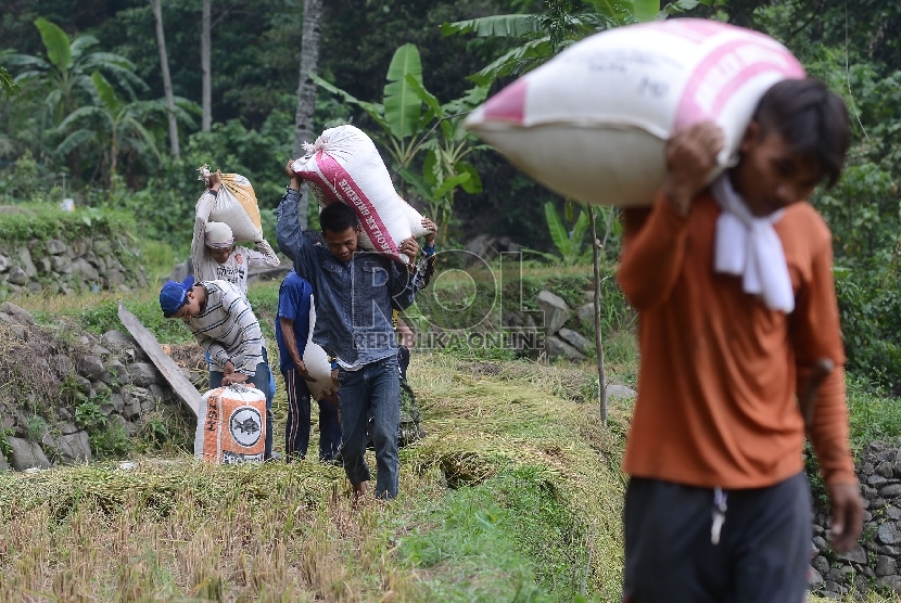 Warga membawa padi dengan karung untuk kemudian dibawa menuju ke tempat penggilingan di Kecamatan Tegalwaru, Desa Jayanti, Karawang, Jawa Barat, Kamis (12/11).  (Republika/Raisan Al Farisi)