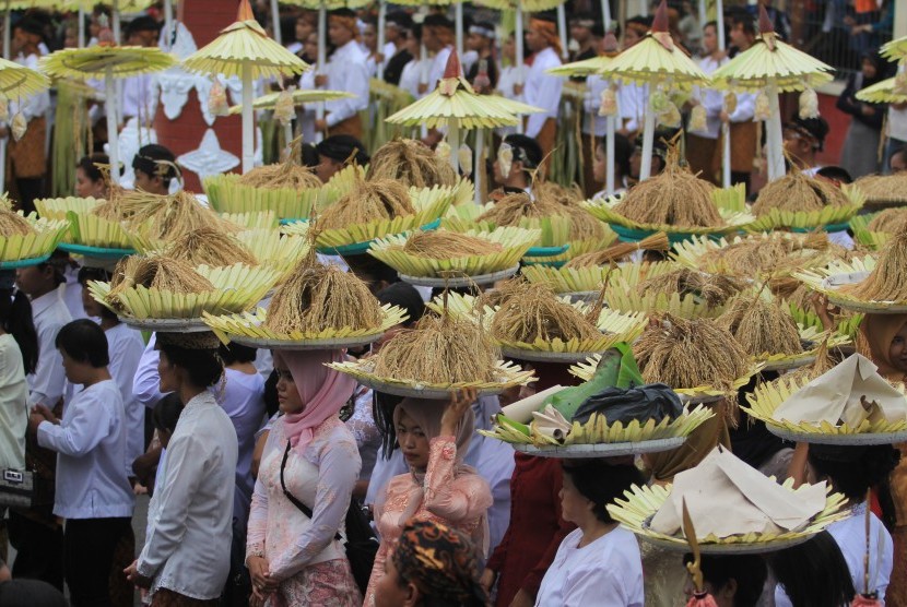 Warga membawa padi sebagai simbol kebersamaan saat perayaan adat Serentaun di Cigugur, Kuningan, Jawa Barat, Kamis (14/9). 