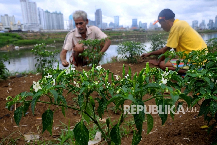 Lahan Pertanian Organik Indonesia Baru 0 14 Persen Republika Online