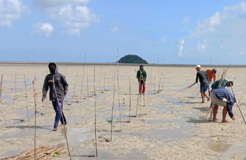Warga menanam bibit mangrove di pantai diDesa Juru Seberang, Kecamatan Tanjung Pandan, Kabupaten Belitung, Provinsi Kepulauan Bangka Belitung. 