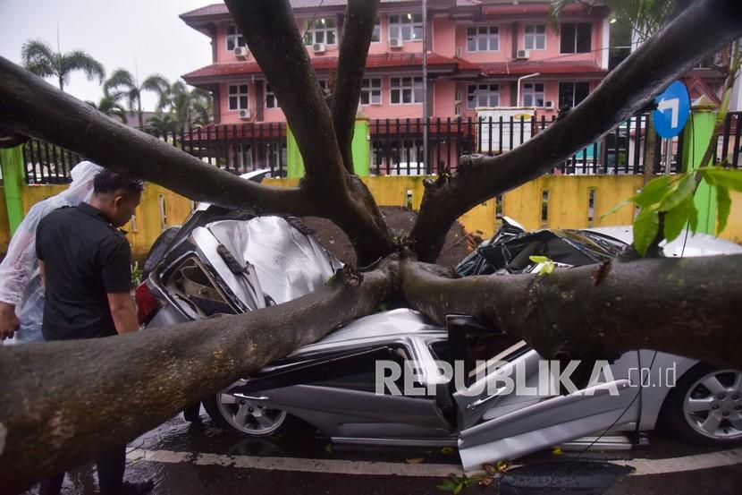 Warga mengamati mobil yang tertimpa pohon tumbang satu orang meninggal dunia di Pasaman Barat, Sumatra Barat. (Ilustrasi)