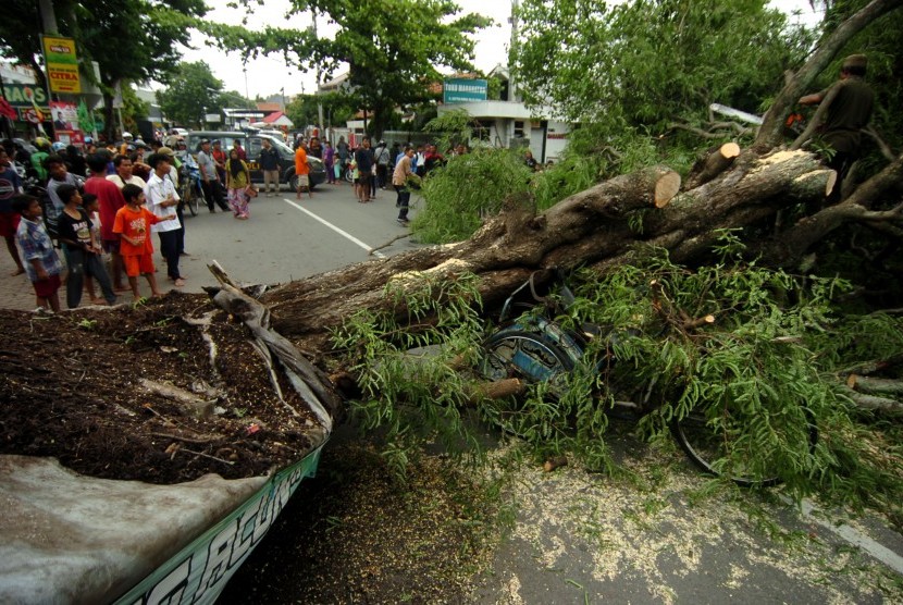 Warga mengamati pohon tumbang yang menutupi jalan (ilustrasi)