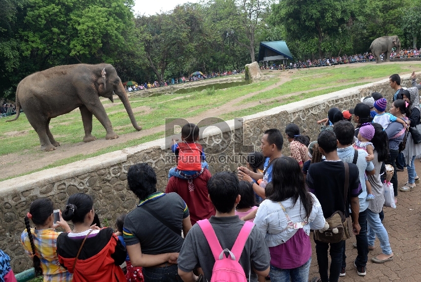 Warga mengisi hari libur berkunjung ke Kebun Binatang Ragunan, Jakarta Selatan 