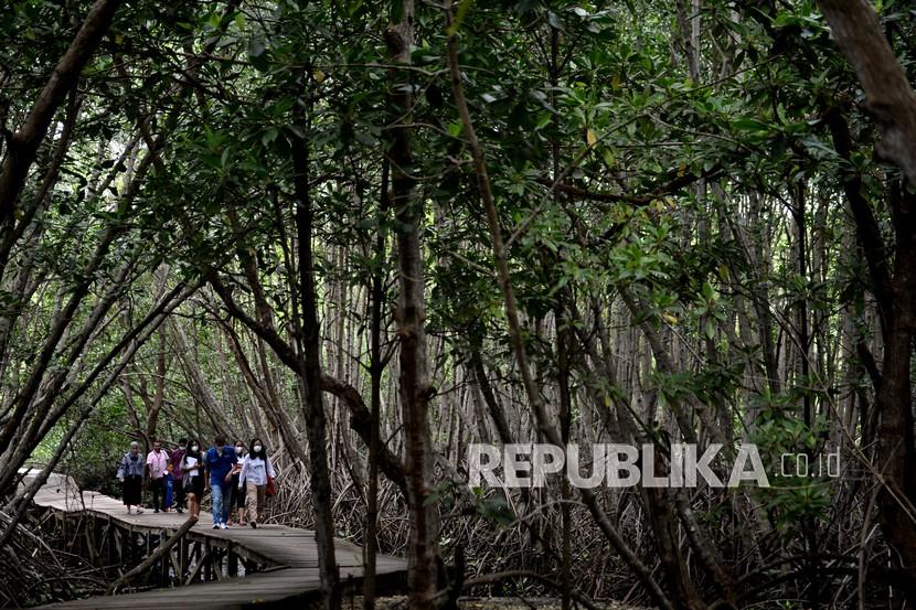 Warga mengunjungi kawasan hutan Mangrove di Taman Hutan Raya (Tahura) Ngurah Rai, Bali, Selasa (2/11/2021). Kawasan hutan Mangrove Tahura Ngurah Rai rencananya akan menjadi salah satu lokasi yang akan ditampilkan kepada para pemimpin negara saat pelaksanaan Konferensi Tingkat Tinggi (KTT) G20 di Bali pada tahun 2022 mendatang.