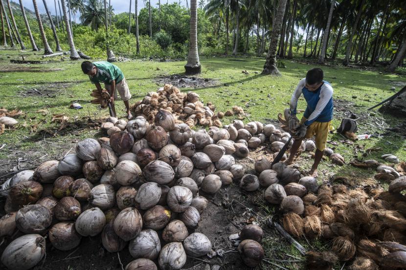 Suasana kehidupan masyarakat di Kepualau Natuna. Warga mengupas kulit kelapa di Pulau Laut, Natuna Utara, Natuna, Kepulauan Riau (ilustrasi)