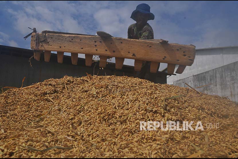Warga menjemur gabah sehabis panen di tempat penggilingan padi (ilustrasi)