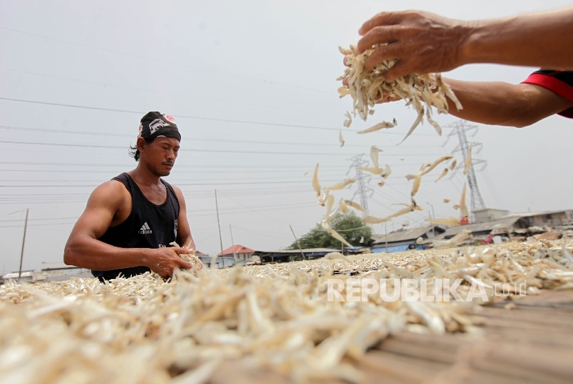  Warga menjemur ikan asin yang sudah dimasak secara tradisional di Kampung Nelayan Muara Angke, Jakarta, Senin (11/9).