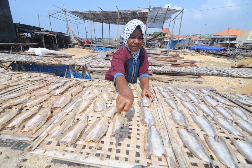 Ikan kering salah satu produk yang diminati pasar dunia. (Ilustrasi)