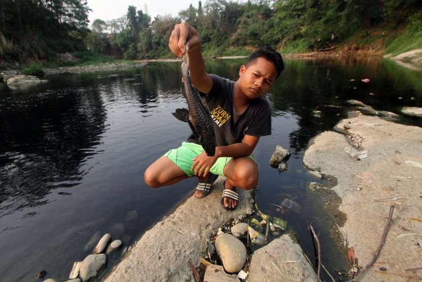 Warga menunjukan ikan yang mati akibat pencemaran Sungai Cileungsi di kawasan Gunung Putri, Kabupaten Bogor, Jawa Barat, Jumat (14/9).