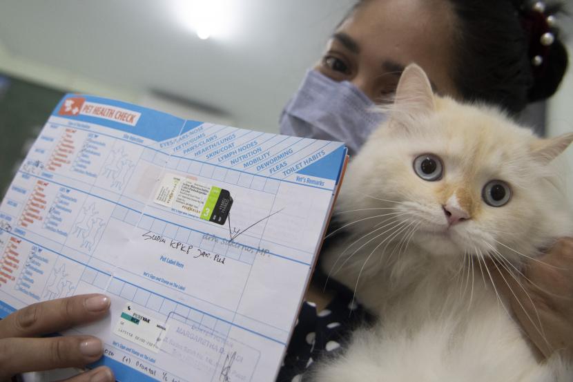 Warga menunjukkan buku vaksin hewan peliharaannya usai disuntik vaksin rabies di halaman Kantor Kelurahan Menteng, Jakarta Pusat, Selasa (14/6/2022).
