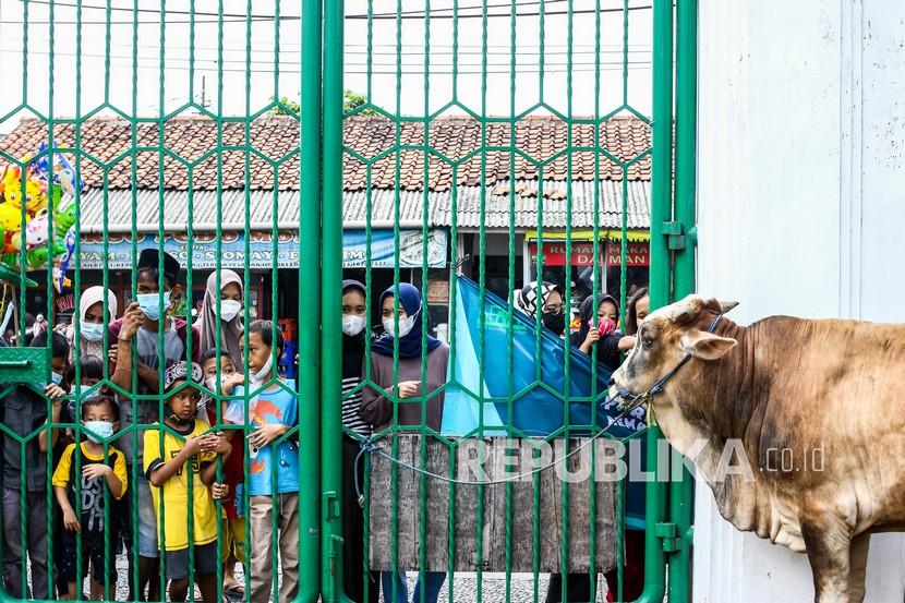 Warga menyaksikan pemotongan hewan kurban di Masjid Darul Falaah, Jakarta, Selasa (20/7/2021). Masjid tersebut memotong sebanyak 11 ekor sapi dan 16 ekor kambing yang akan dibagian kepada masyarakat di wilayah Petukangan Utara. 