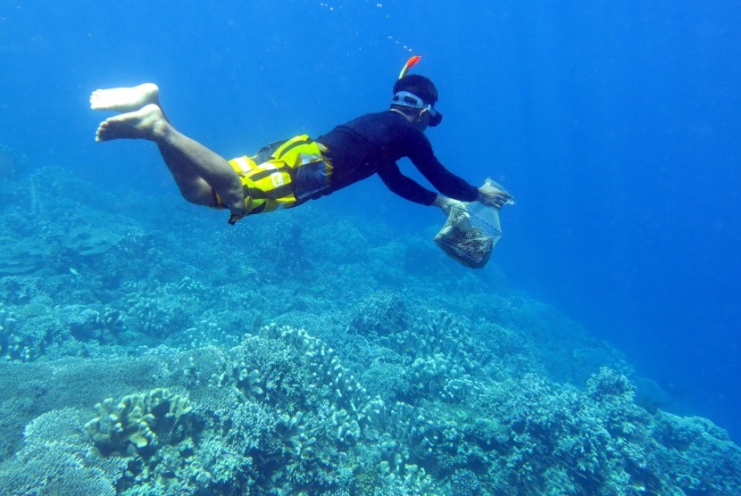 Warga menyelam untuk mengambil sampah di terumbu karang taman laut. ilustrasi. Organisasi Meteorologi Dunia (WMO) mengatakan pada Rabu (18/4/2022), lautan dunia mengalami tingkat terpanas dan paling asam pada rekor tahun lalu.